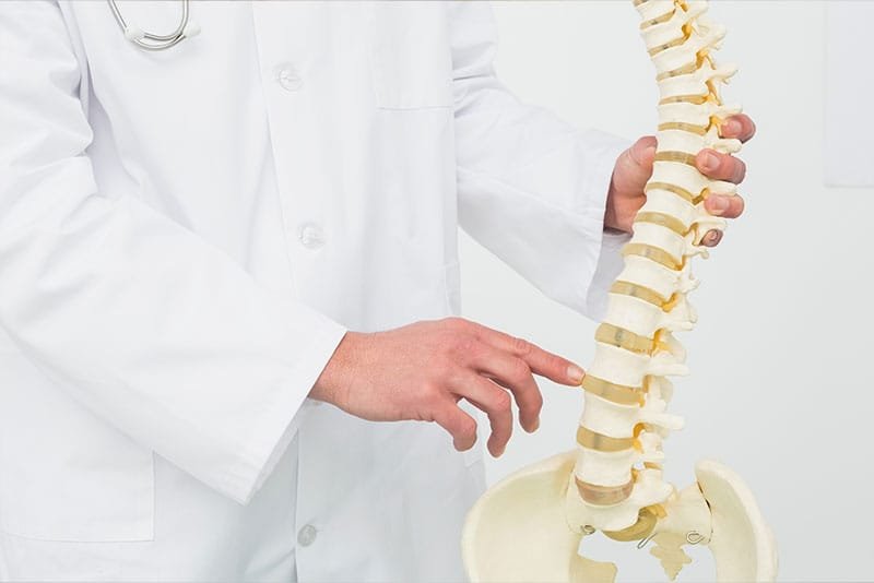Sunset Chiropractic and Wellness: Holistic approach that heals not only the pain, but the cause- The chiropractors at Sunset Chiropractic and Wellness