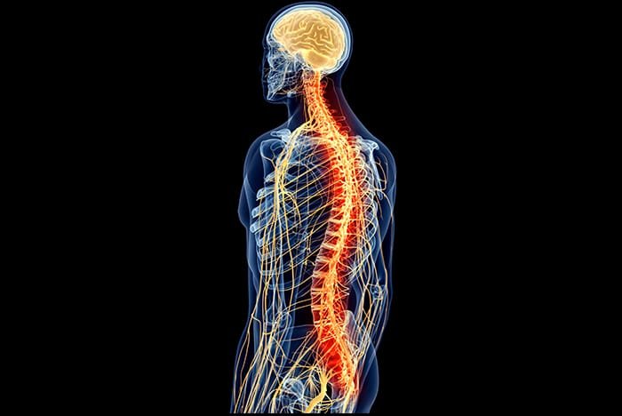 Sunset Chiropractic & Wellness.Why go to a Structural Correction Chiropractor? Structural Correction Chiropractic is a specific approach to chiropractic care that focuses on addressing the underlying structure of the spine and correcting any misalignments that may be causing pain or discomfort.